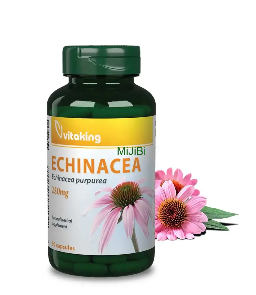 Echinacea extrakt (90 kapslí)